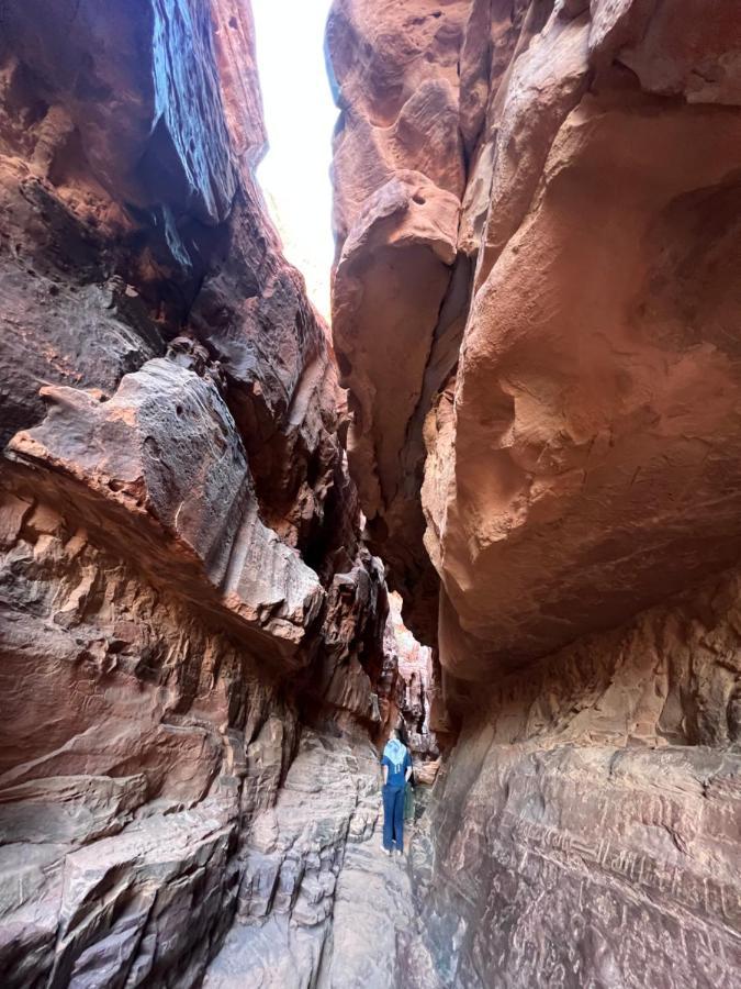 Wadi Rum Trip Bagian luar foto